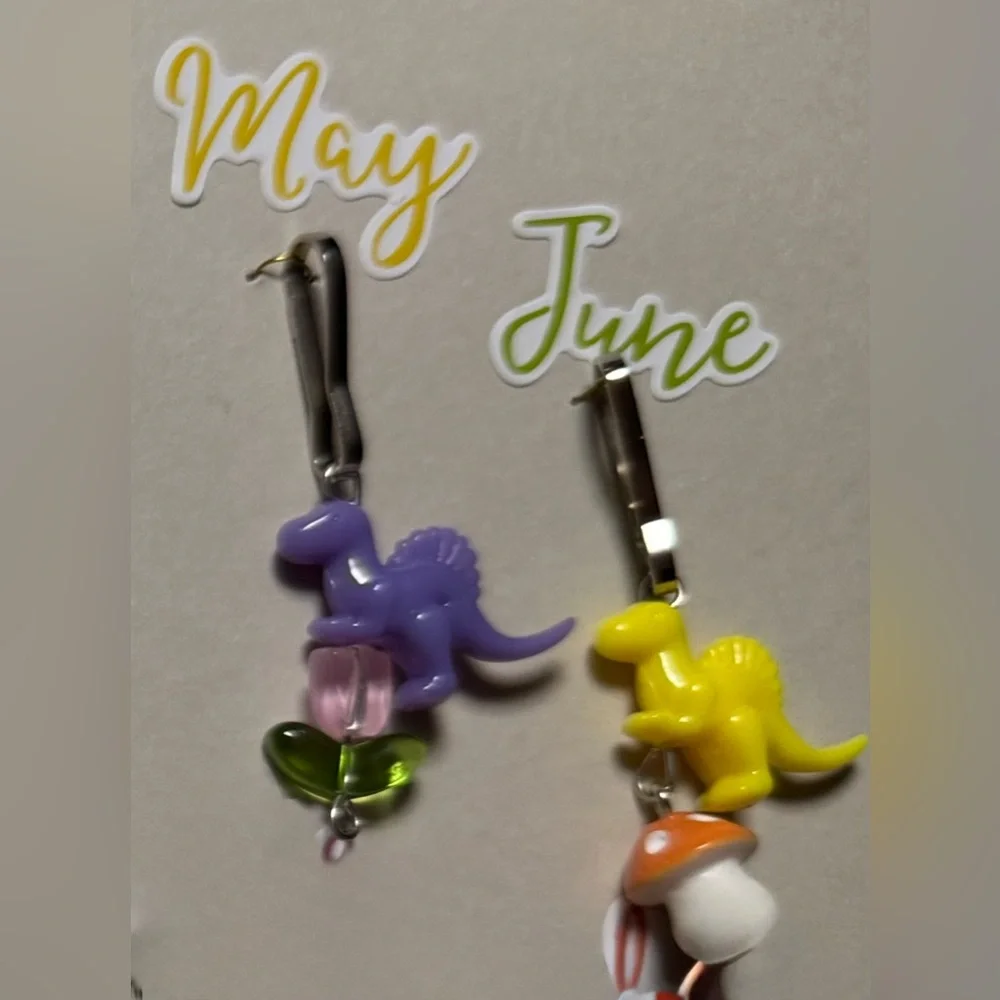 🧚🏻‍♀️ Zipper Pulls Year of Dinosaurs Set 12 Months Dino Charm for Backpacks